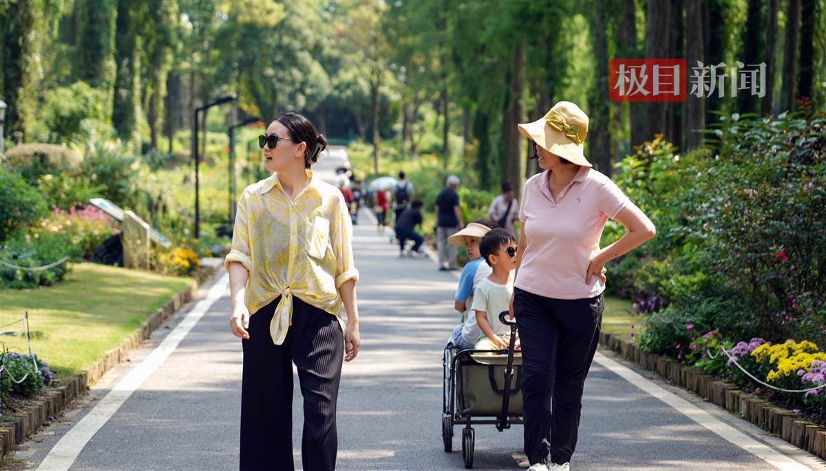 线上正规实体平台
